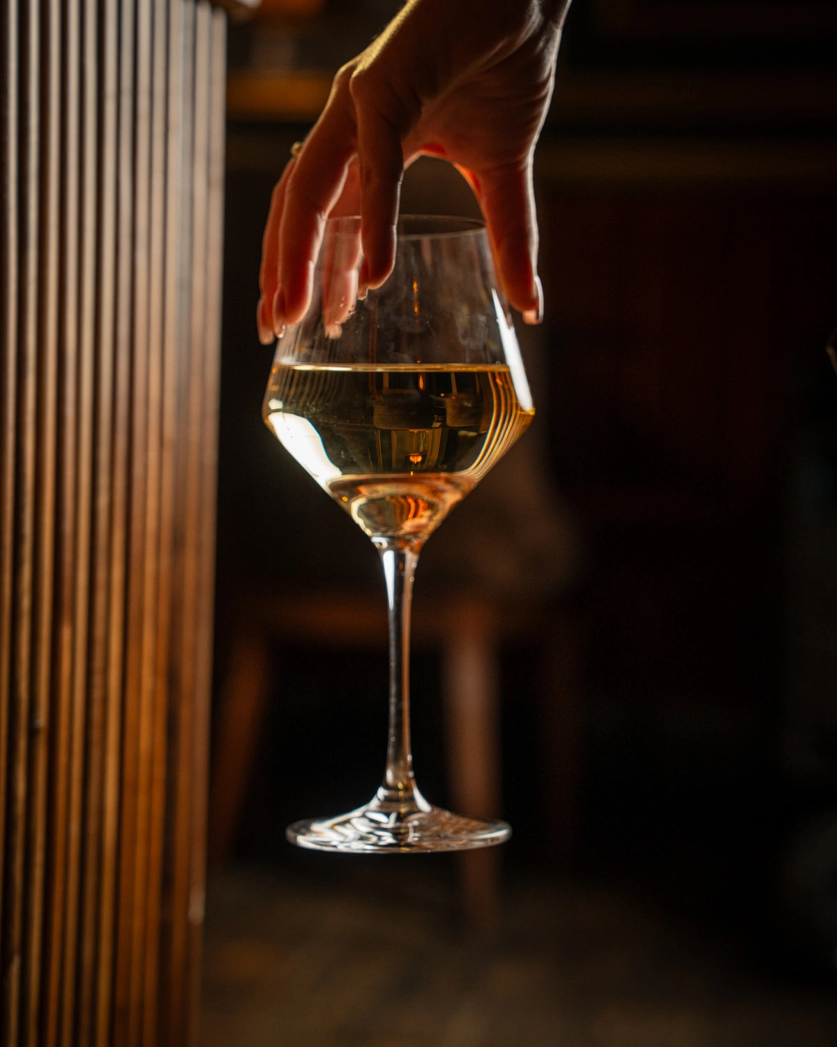 A Focused Menu and a Personal Wine List